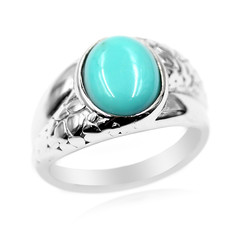 Campitos Turquoise Silver Ring (Anne Bever)