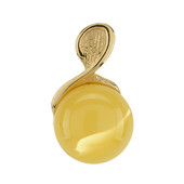 Baltic Amber Silver Pendant (dagen)