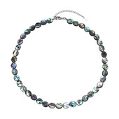 Abalone Shell Silver Necklace