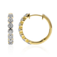 14K IF (D) Diamond Gold Earrings