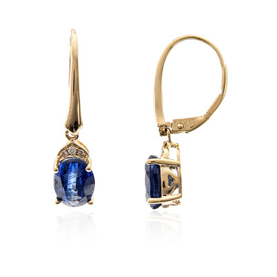 14K Nepal Kyanite Gold Earrings (CIRARI)