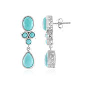 Campitos Turquoise Silver Earrings