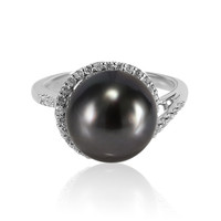 Tahitian Pearl Silver Ring (TPC)