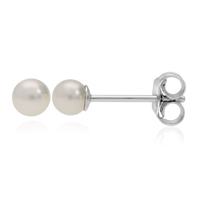 Freshwater pearl Silver Earrings