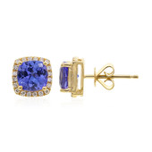 14K AAA Tanzanite Gold Earrings (CIRARI)