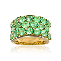 9K AAA Zambian Emerald Gold Ring (de Melo)