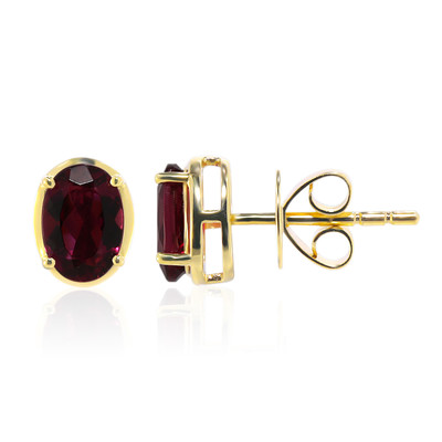 9K Rubellite Gold Earrings (Tenner Diniz)