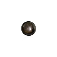 Black Star Sapphire other gemstone 0,9 ct