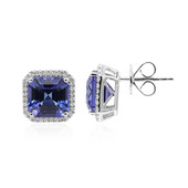 18K AAA Tanzanite Gold Earrings (CIRARI)