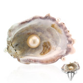 Shell Silver Ring (TPC)