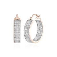 Zircon Silver Earrings