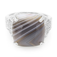 Botswana Agate Silver Ring