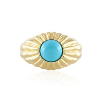 Sleeping Beauty Turquoise Silver Ring