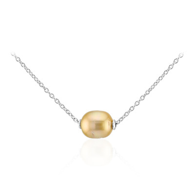 Kabira Golden South Sea Pearl Silver Necklace (TPC)