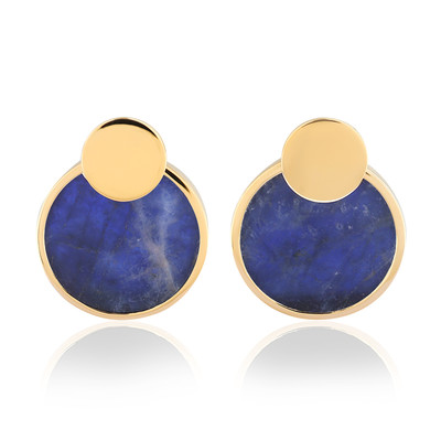 Sodalite Silver Earrings (de Melo)