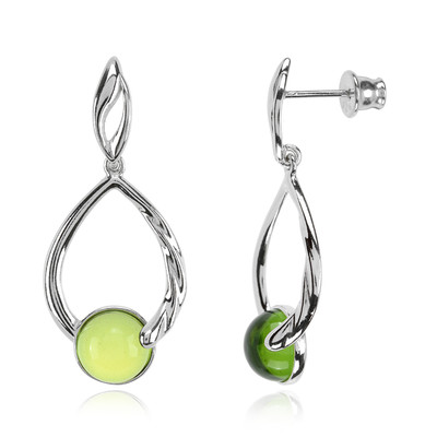 Colombian green Amber Silver Earrings (dagen)