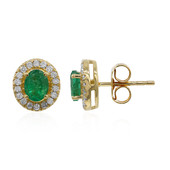 10K AAA Zambian Emerald Gold Earrings