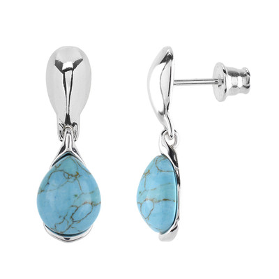 Turquoise Silver Earrings (dagen)