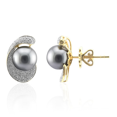 9K Tahitian Pearl Gold Earrings (TPC)