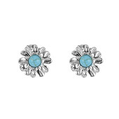 Turquoise Silver Earrings (dagen)