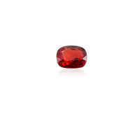 Tanzanian Ruby other gemstone 0,869 ct