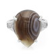 Botswana Agate Silver Ring