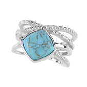 Turquoise Silver Ring (dagen)