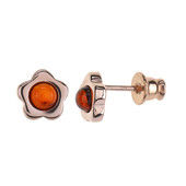 Baltic Amber Silver Earrings (dagen)