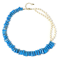 Blue Howlite Silver Necklace (Riya)