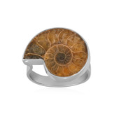 Ammonite Silver Ring