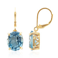 Sky Blue Topaz Silver Earrings