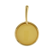 Baltic Amber Silver Pendant (dagen)