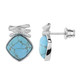 Turquoise Silver Earrings (dagen)