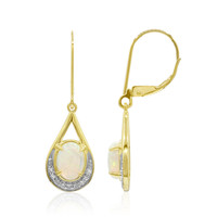 9K Coober Pedy Opal Gold Earrings (Mark Tremonti)