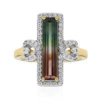 9K Bi Colour Tourmaline Gold Ring