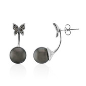 Tahitian Pearl Silver Earrings (Annette classic)