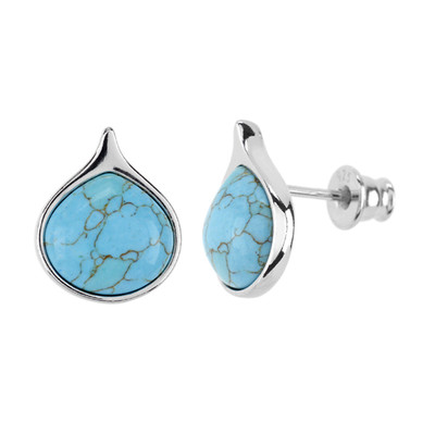 Turquoise Silver Earrings (dagen)