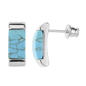 Turquoise Silver Earrings (dagen)