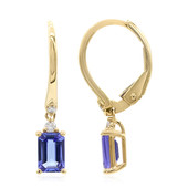 14K AAA Tanzanite Gold Earrings (CIRARI)