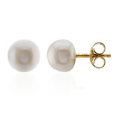 White Freshwater Pearl Silver Earrings