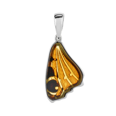 Baltic Amber Silver Pendant (dagen)