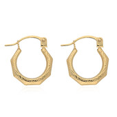 9K Gold Earrings