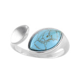 Turquoise Silver Ring (dagen)