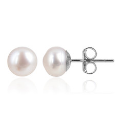 White Freshwater Pearl Silver Earrings