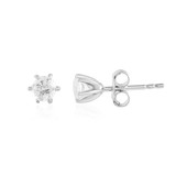 Zircon Silver Earrings