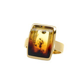 Baltic Amber Silver Ring (dagen)