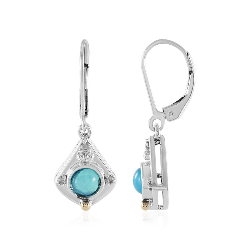 Alaia' Silver Doublet Opal Earrings - Black Star Opal