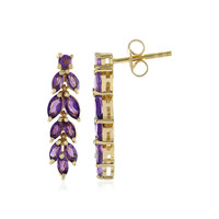 Zambian Amethyst Silver Earrings