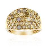 14K SI2 Fancy Diamond Gold Ring (CIRARI)