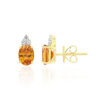 9K Spessartite Gold Earrings (Tenner Diniz)